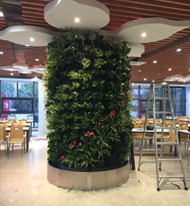 德威英國國際學(xué)校立體綠化